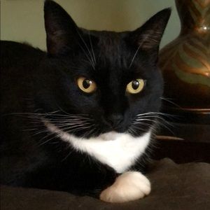 Meet your Posher, Jackie